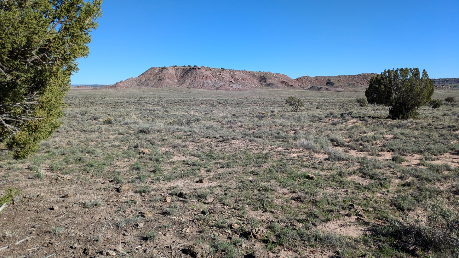 1.01 acres near Sanders, AZ
