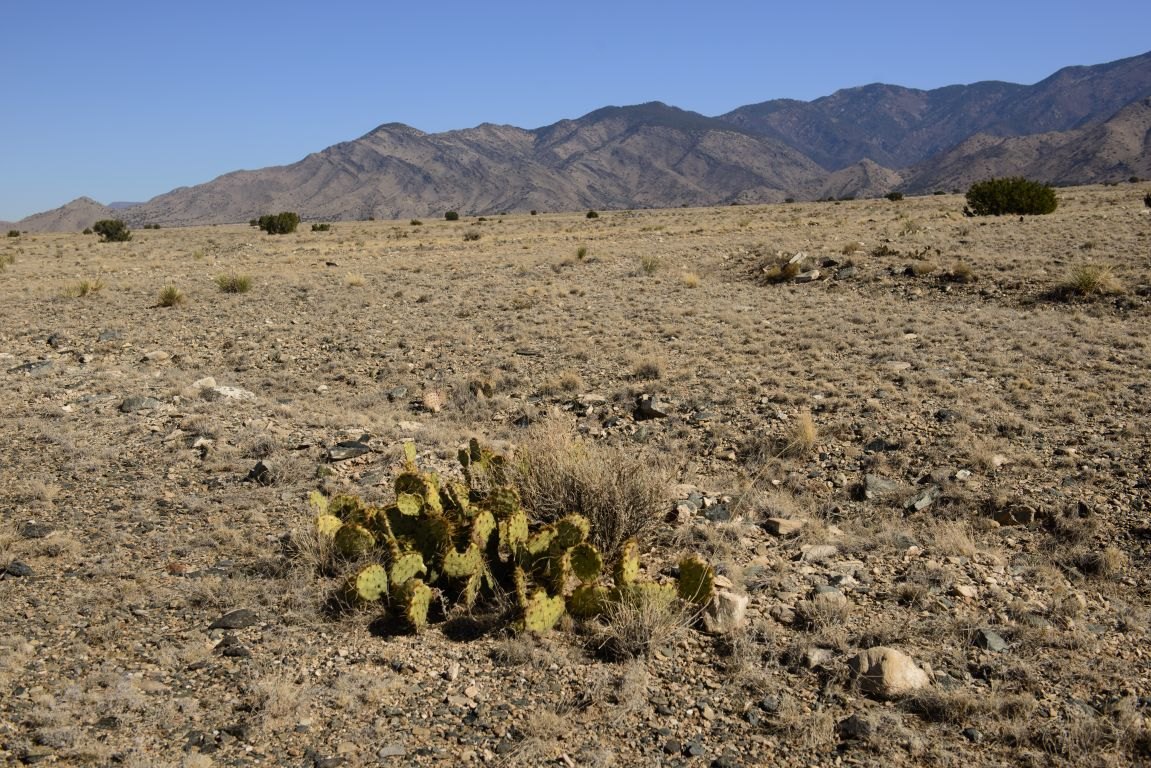 A closer look at Affordable Off Grid Apartment Rentals With Utilities