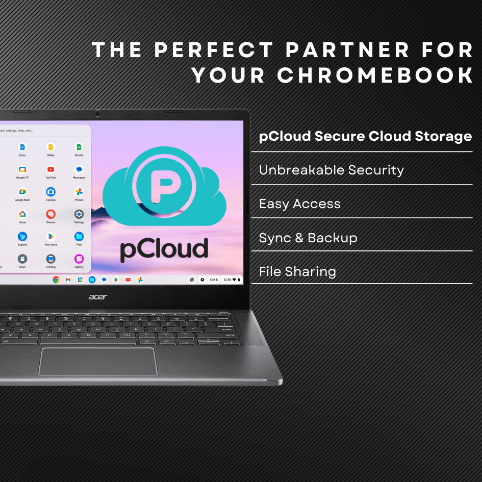 pCloud Secure Cloud Storage - Premium