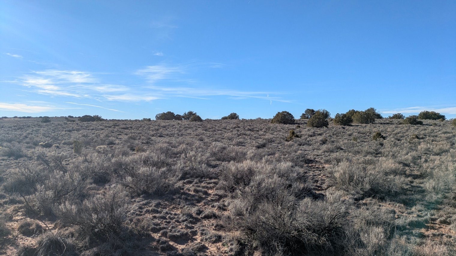1.21 acres near Sanders, AZ